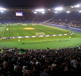 1368288646_1.000_fans_im_stadion.jpg